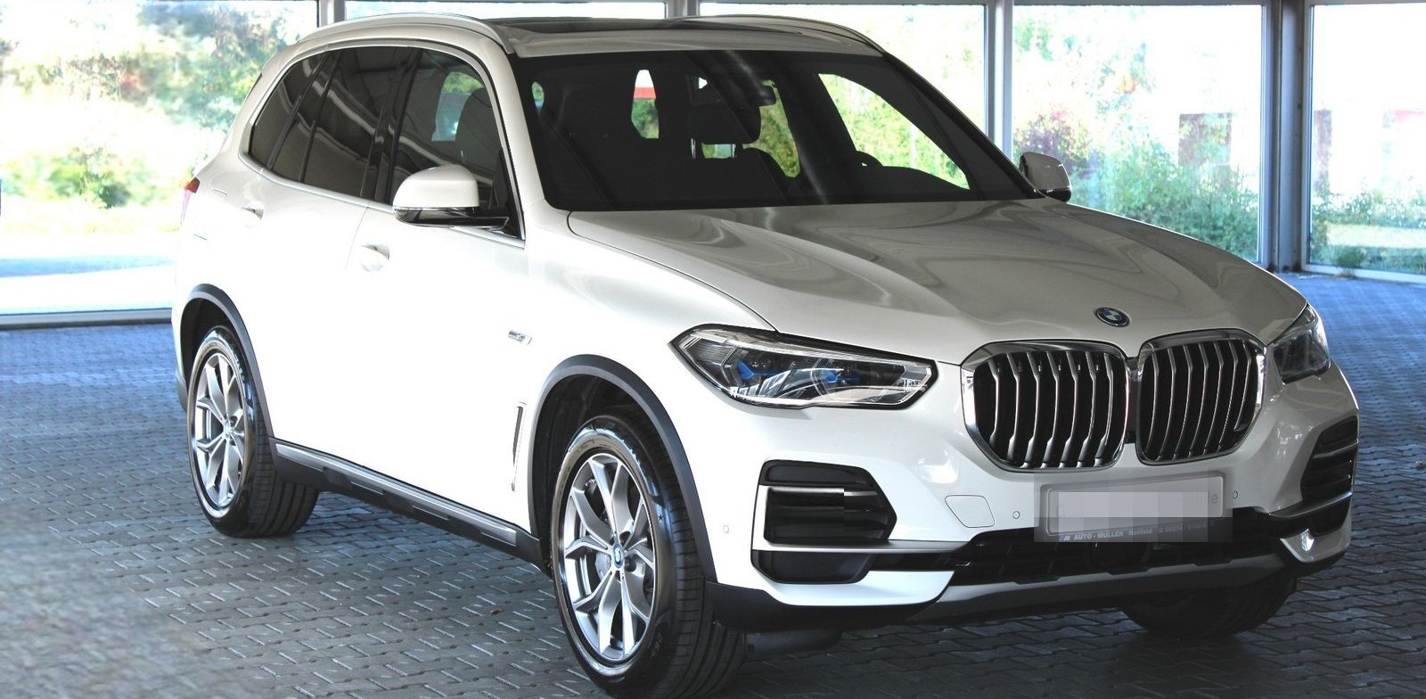 BMW X5 xDrive45e (xLine Head-Up DAB WLAN foto 5