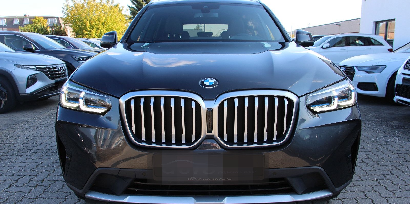 BMW X3 xDrive 30 d foto 2