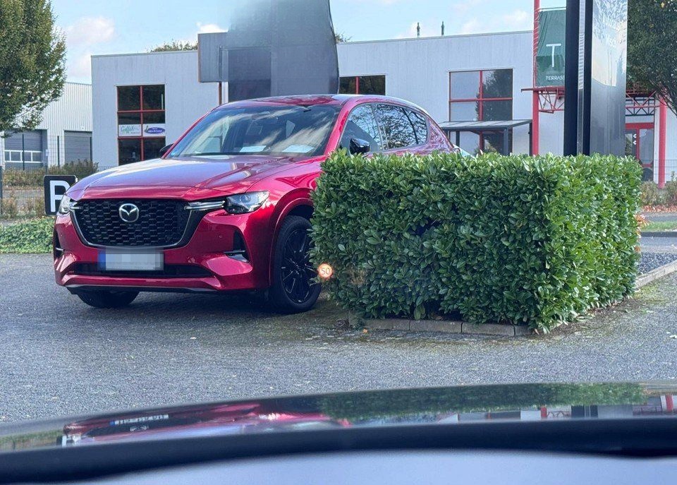 Mazda 3 SKYACTIV-G 2.0 Homura M-Hybrid *360°-KAM*HUD*B foto 11
