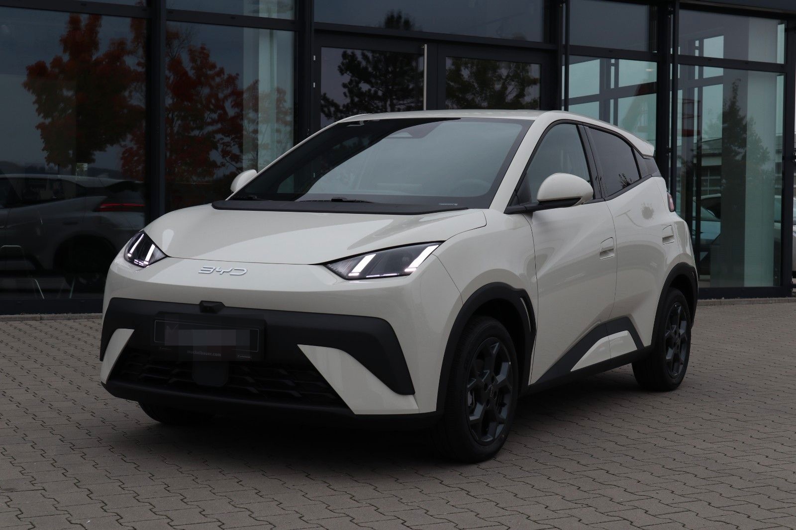 BYD DOLPHIN SURF Comfort 43kWh *Bestellfahrzeug* foto 2