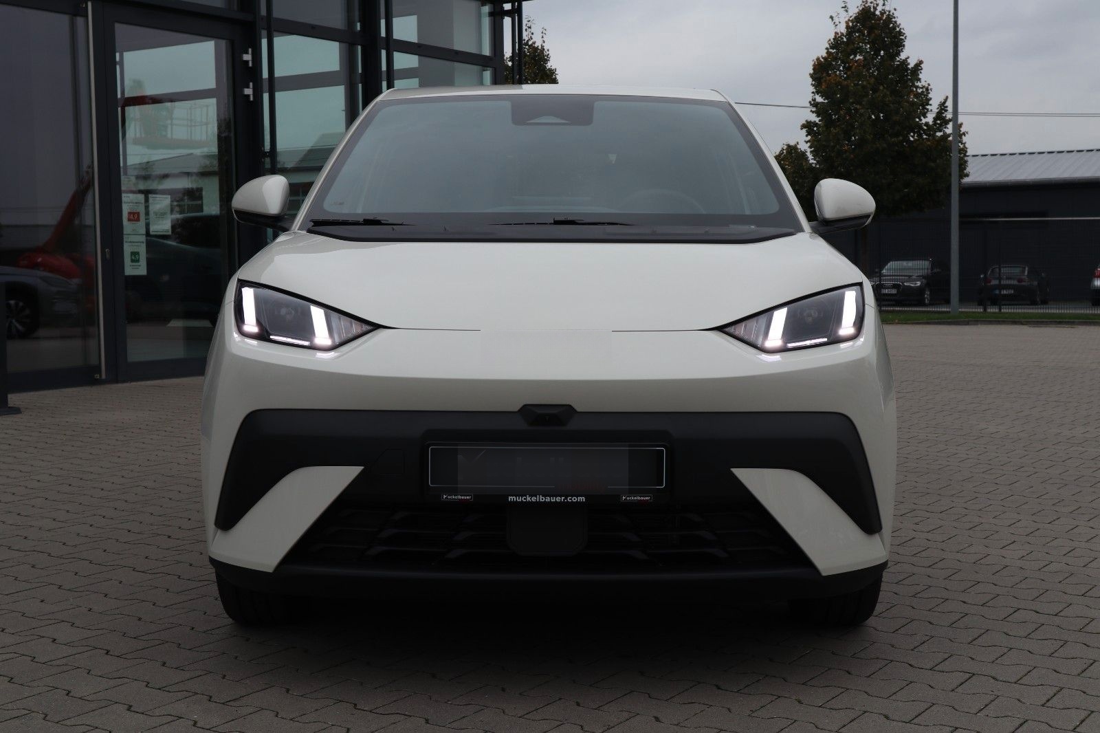 BYD DOLPHIN SURF Comfort 43kWh *Bestellfahrzeug* foto 3