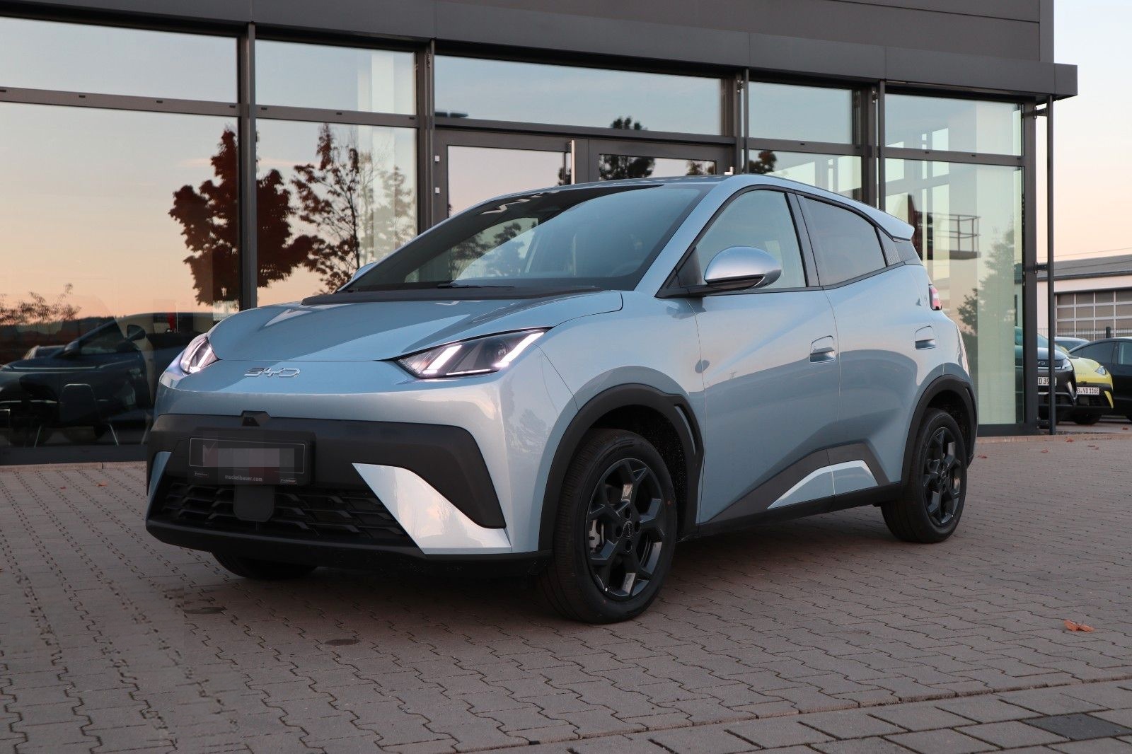 BYD DOLPHIN SURF Comfort 43kWh *Bestellfahrzeug* foto 3