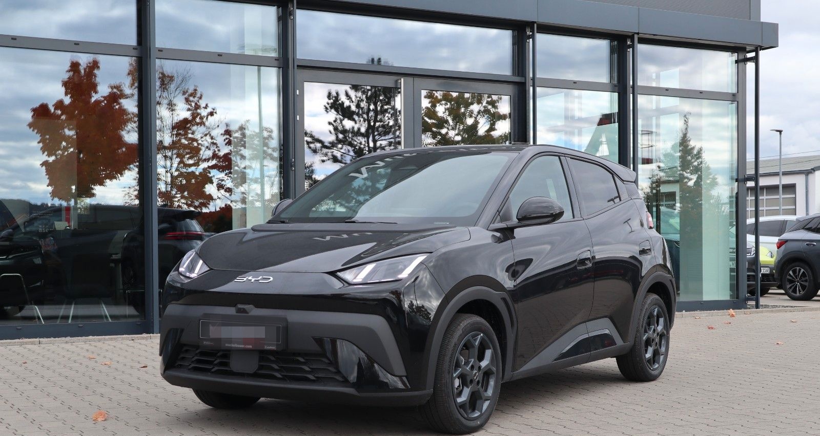 BYD DOLPHIN SURF Comfort 43kWh *Sofort verfügbar* foto 2