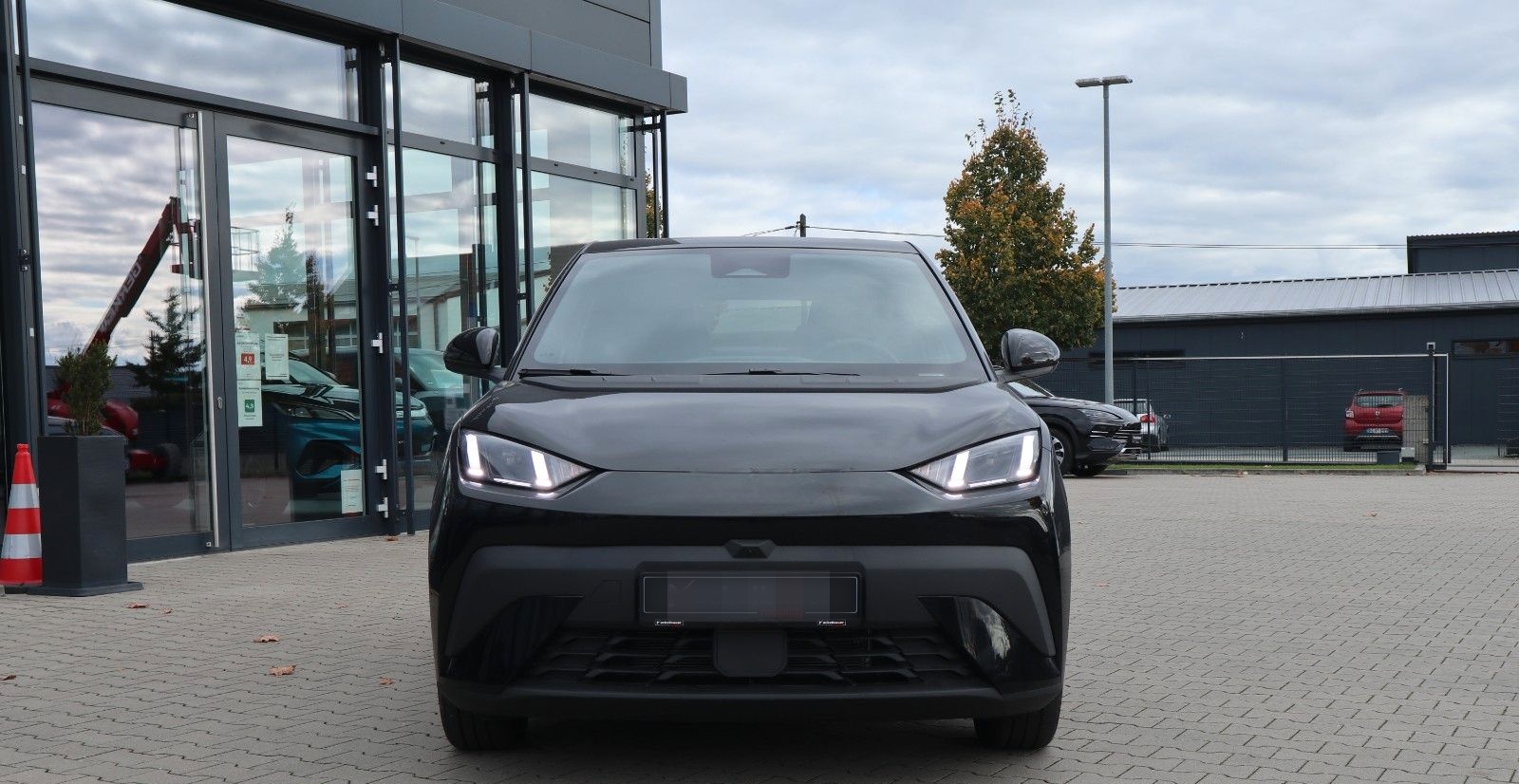 BYD DOLPHIN SURF Comfort 43kWh *Sofort verfügbar* foto 3