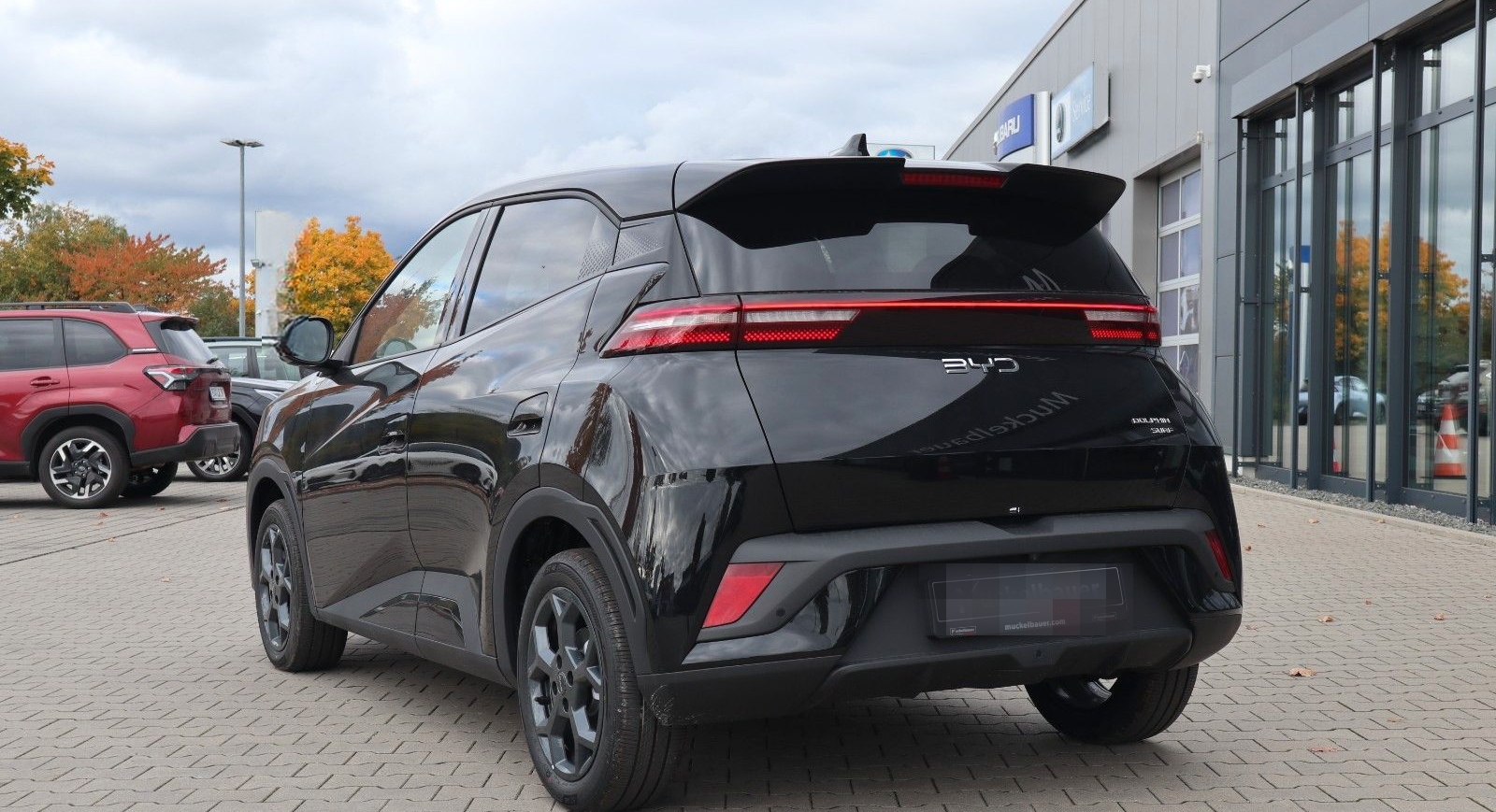 BYD DOLPHIN SURF Comfort 43kWh *Sofort verfügbar* foto 6