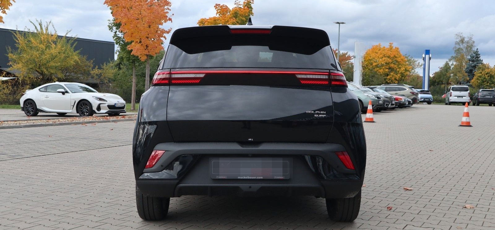 BYD DOLPHIN SURF Comfort 43kWh *Sofort verfügbar* foto 7