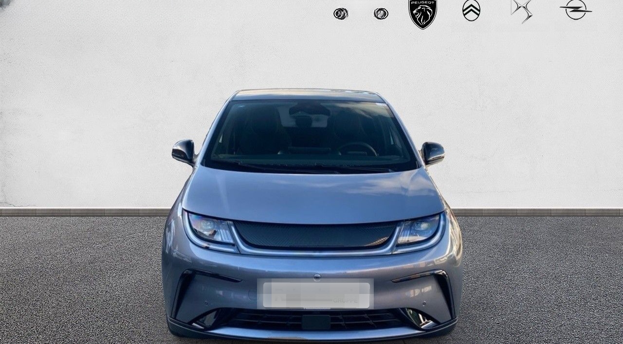 BYD DOLPHIN Design 60kWh 360° Kamera Navi foto 2