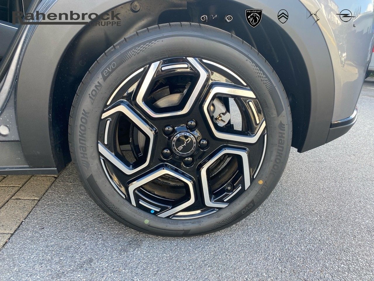 BYD DOLPHIN Design 60kWh 360° Kamera Navi foto 11