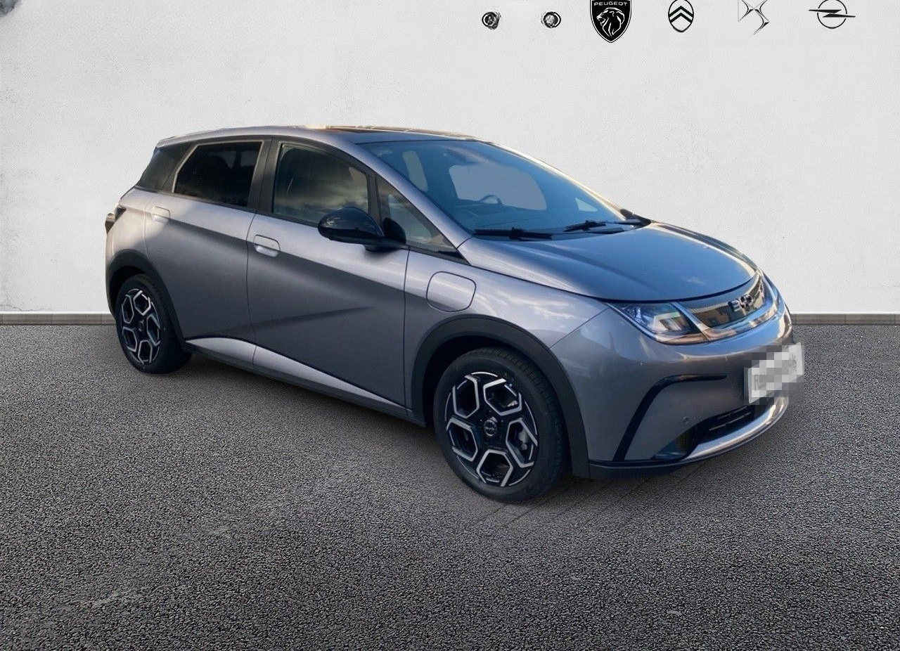 BYD DOLPHIN Design 60kWh 360° Kamera Navi foto 3