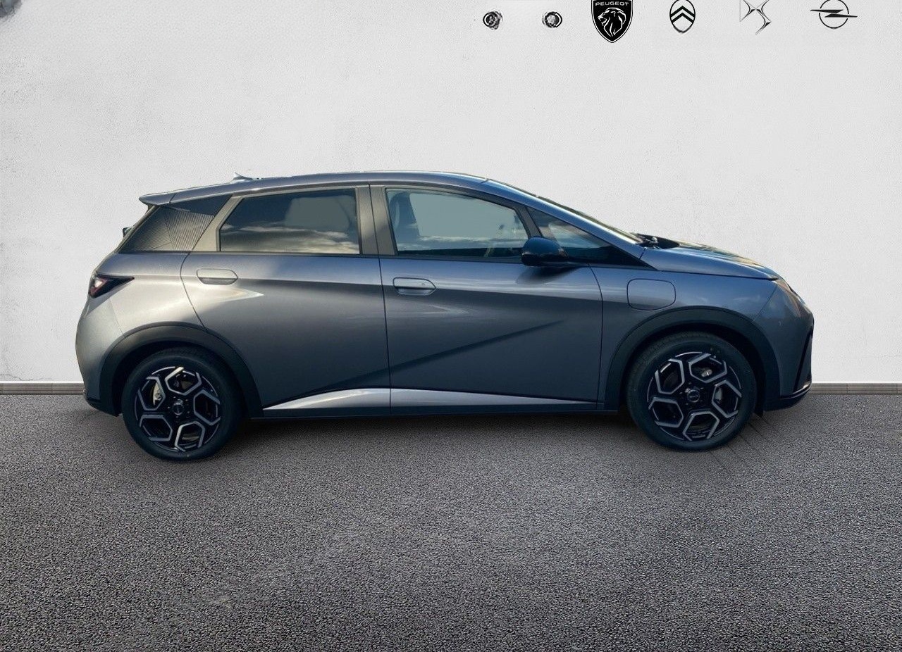 BYD DOLPHIN Design 60kWh 360° Kamera Navi foto 4