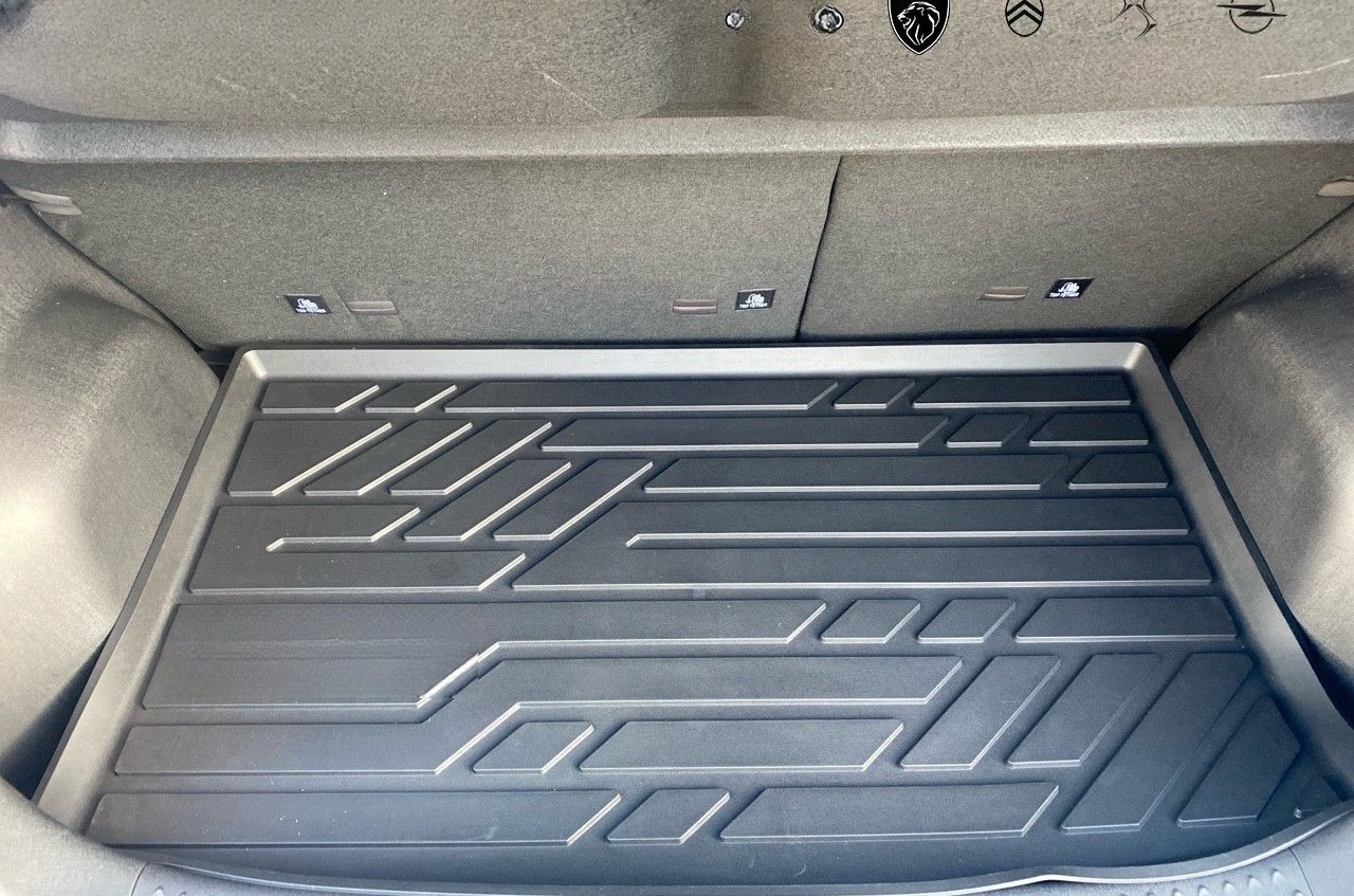 BYD DOLPHIN Design 60kWh 360° Kamera Navi foto 6