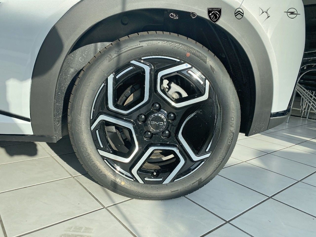 BYD DOLPHIN Comfort 60kWh Kamera Navi foto 11