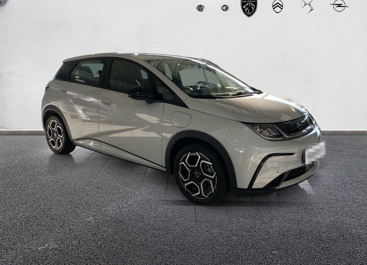 BYD DOLPHIN Comfort 60kWh Kamera Navi foto 3