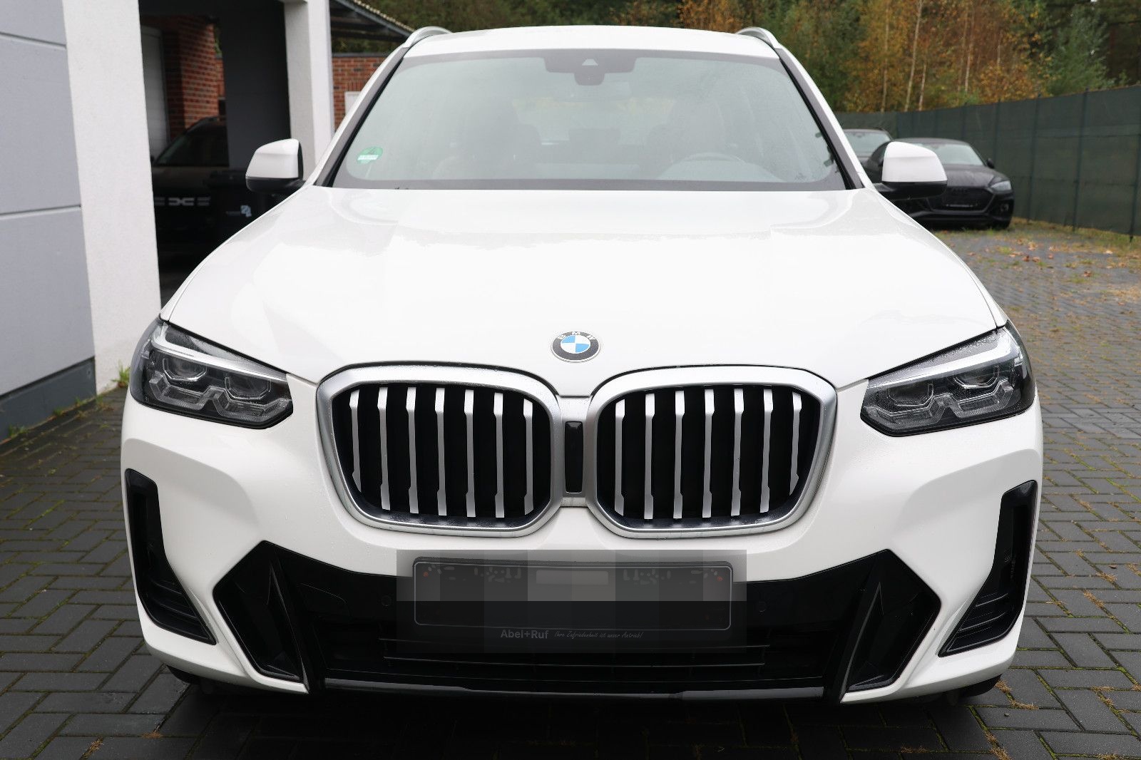 BMW X3 xDrive 30 d M Sport HARMAN LED foto 9