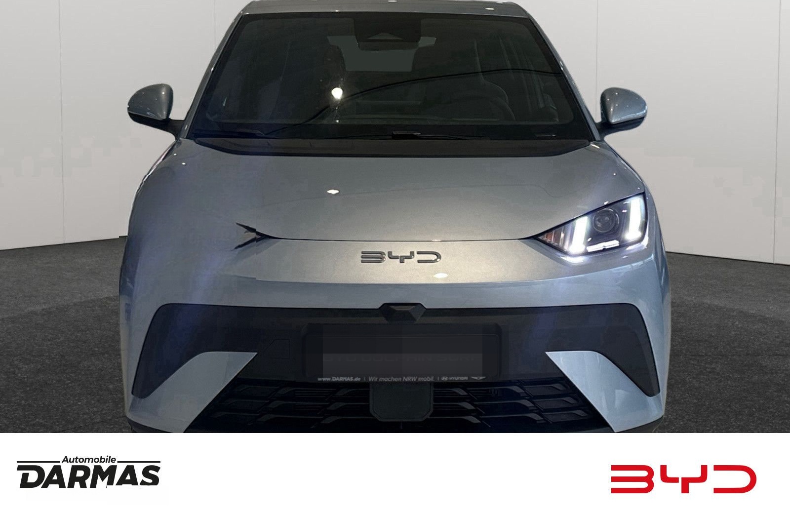 BYD DOLPHIN SURF Active  foto 2