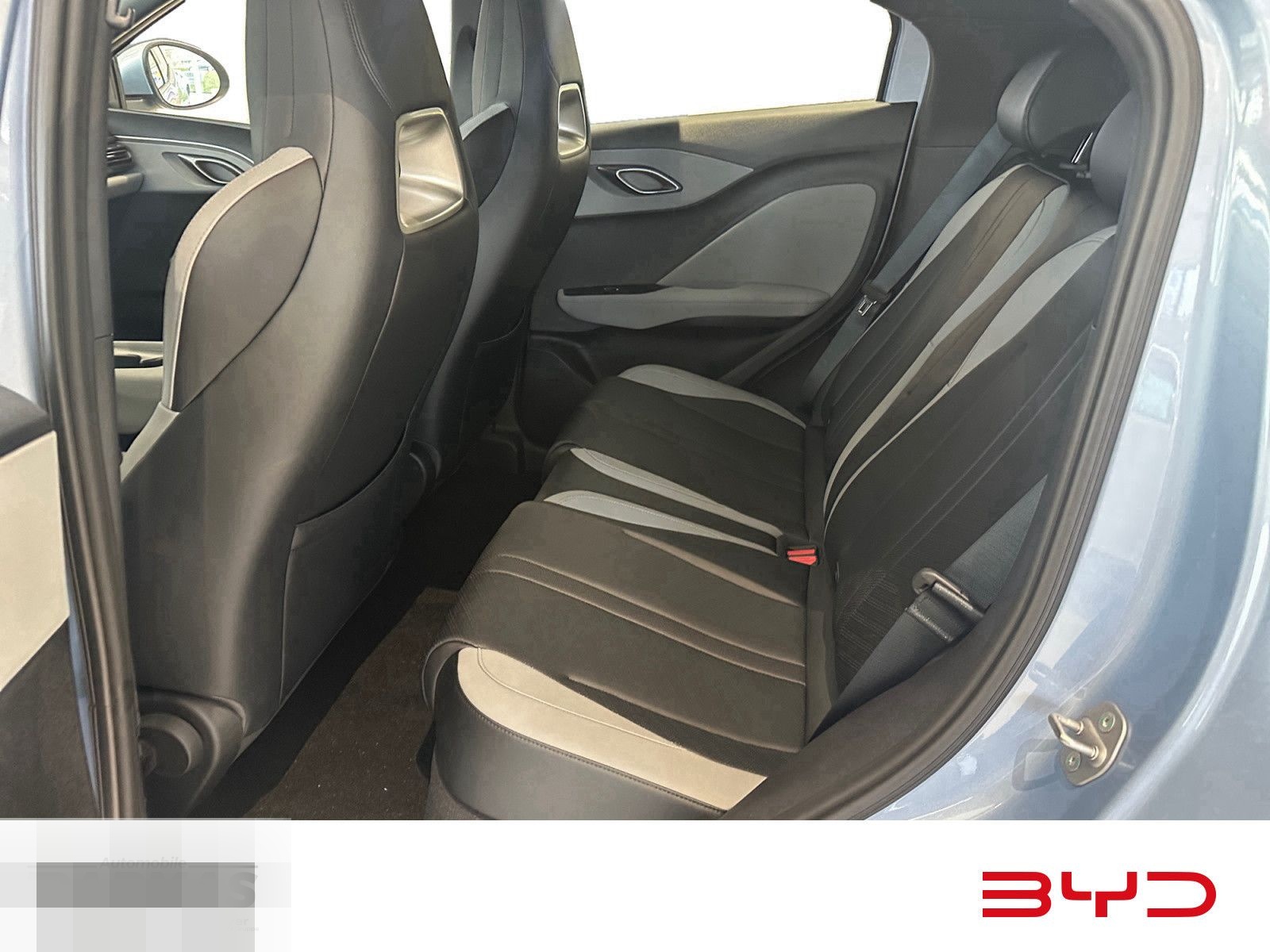 BYD DOLPHIN SURF Active  foto 11