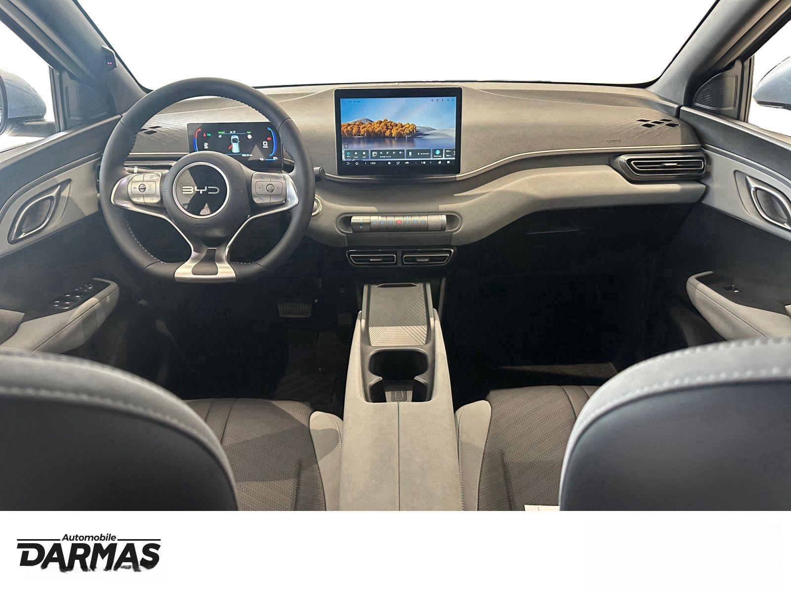 BYD DOLPHIN SURF Active  foto 13