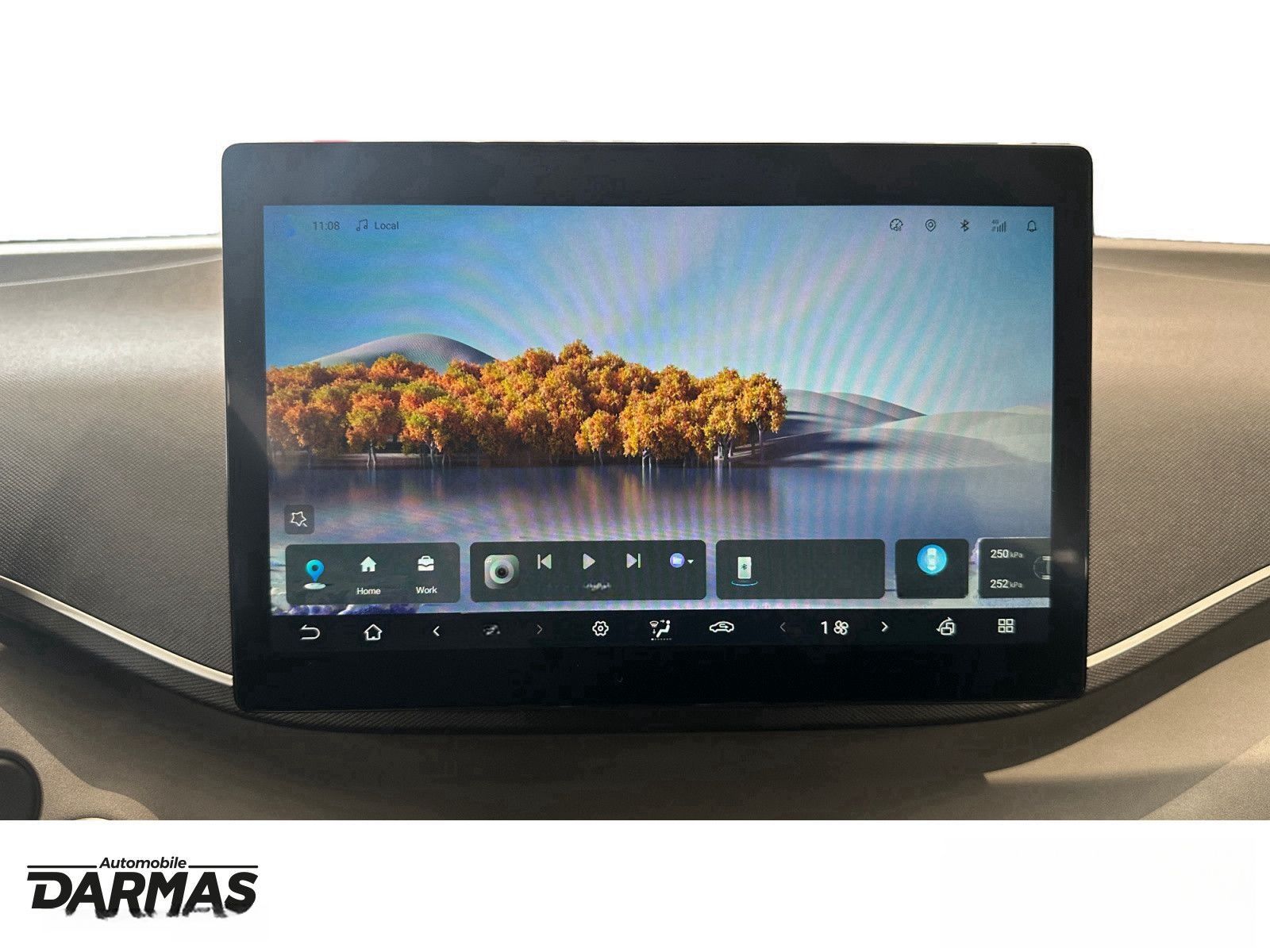 BYD DOLPHIN SURF Active  foto 14