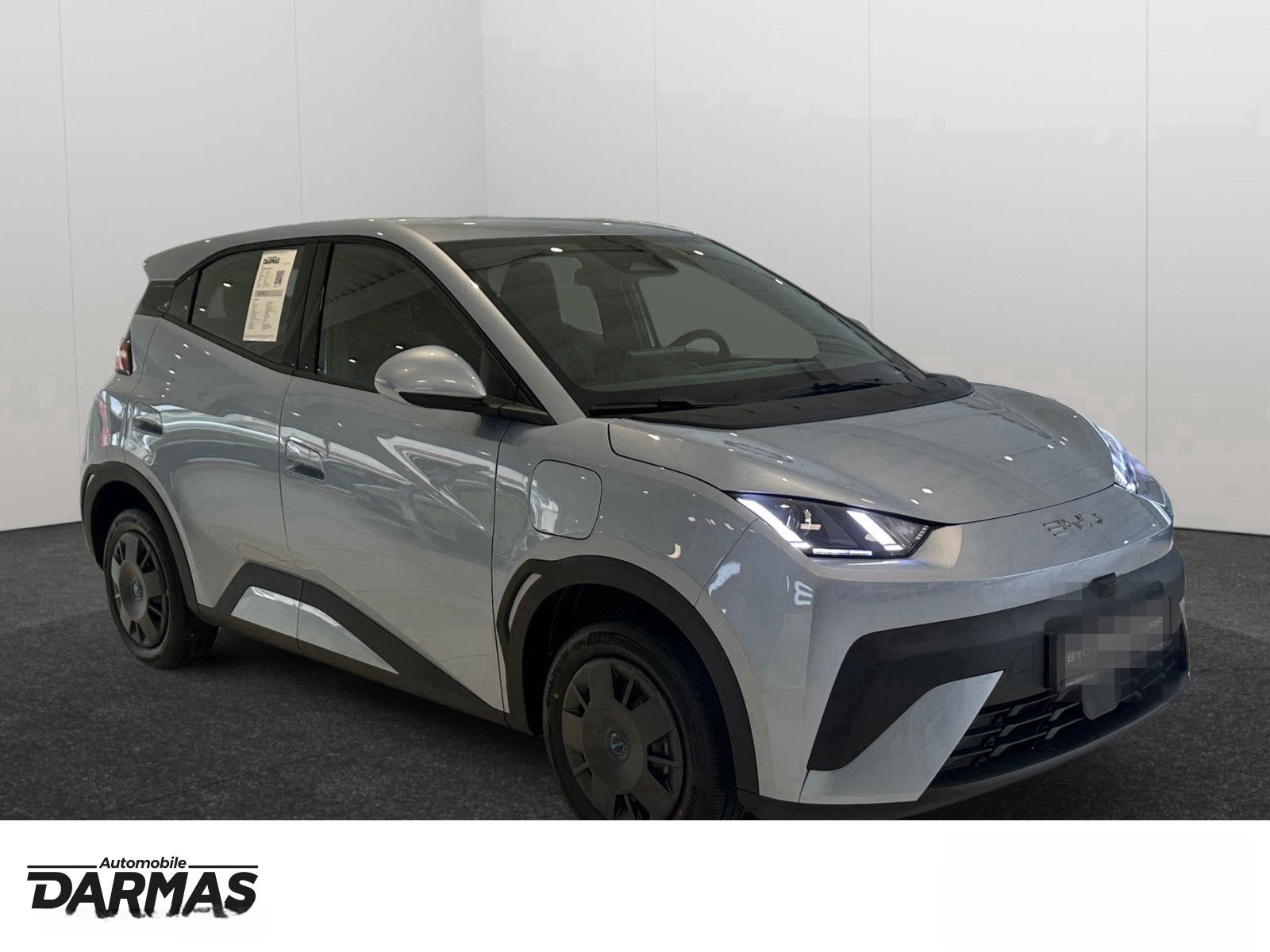 BYD DOLPHIN SURF Active  foto 3