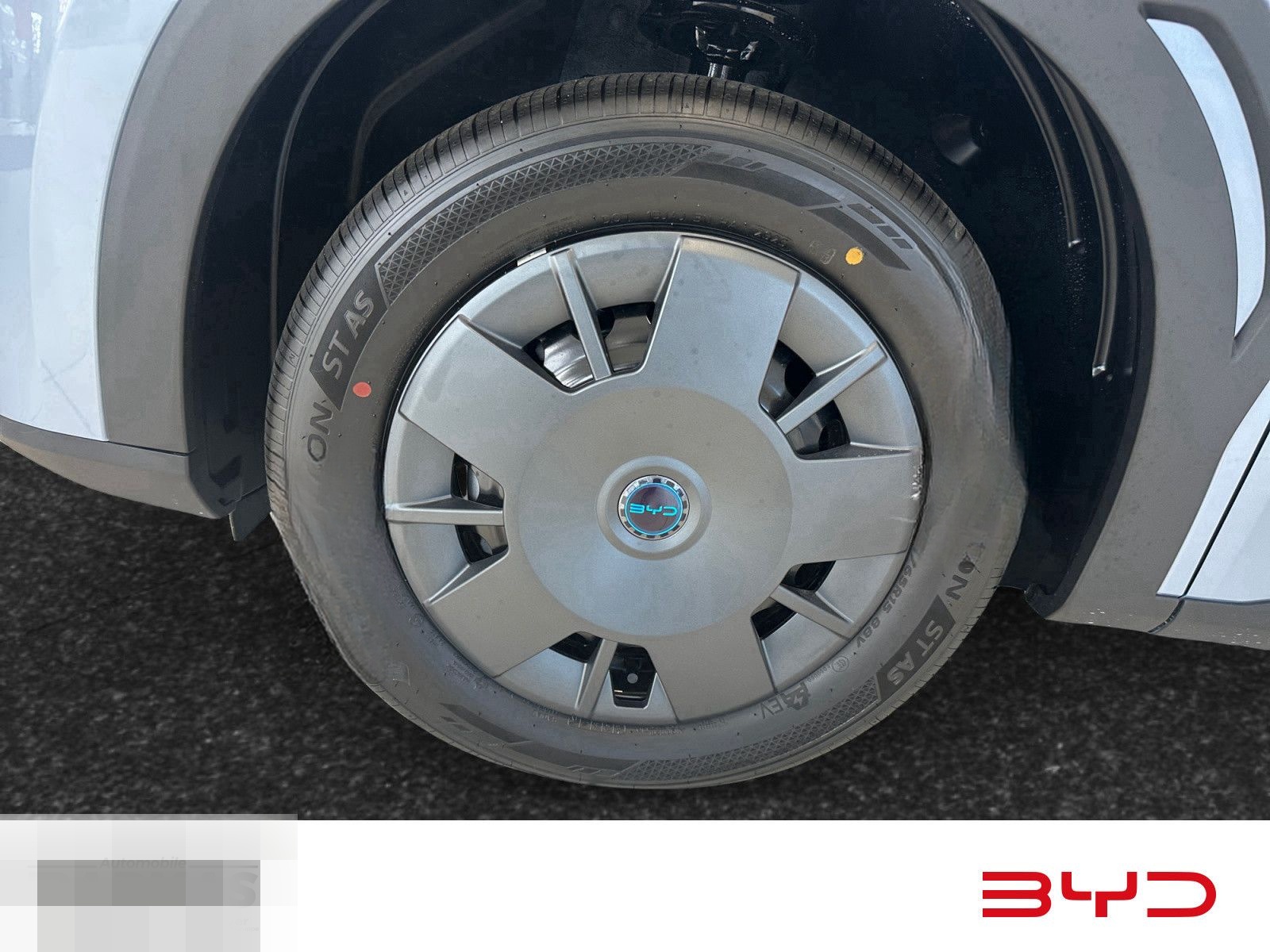 BYD DOLPHIN SURF Active  foto 9