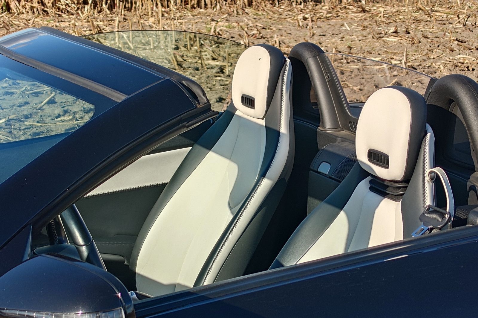 Mercedes-Benz SLK 350 Sportmotor 2LOOK Edition 305PS 7G foto 2