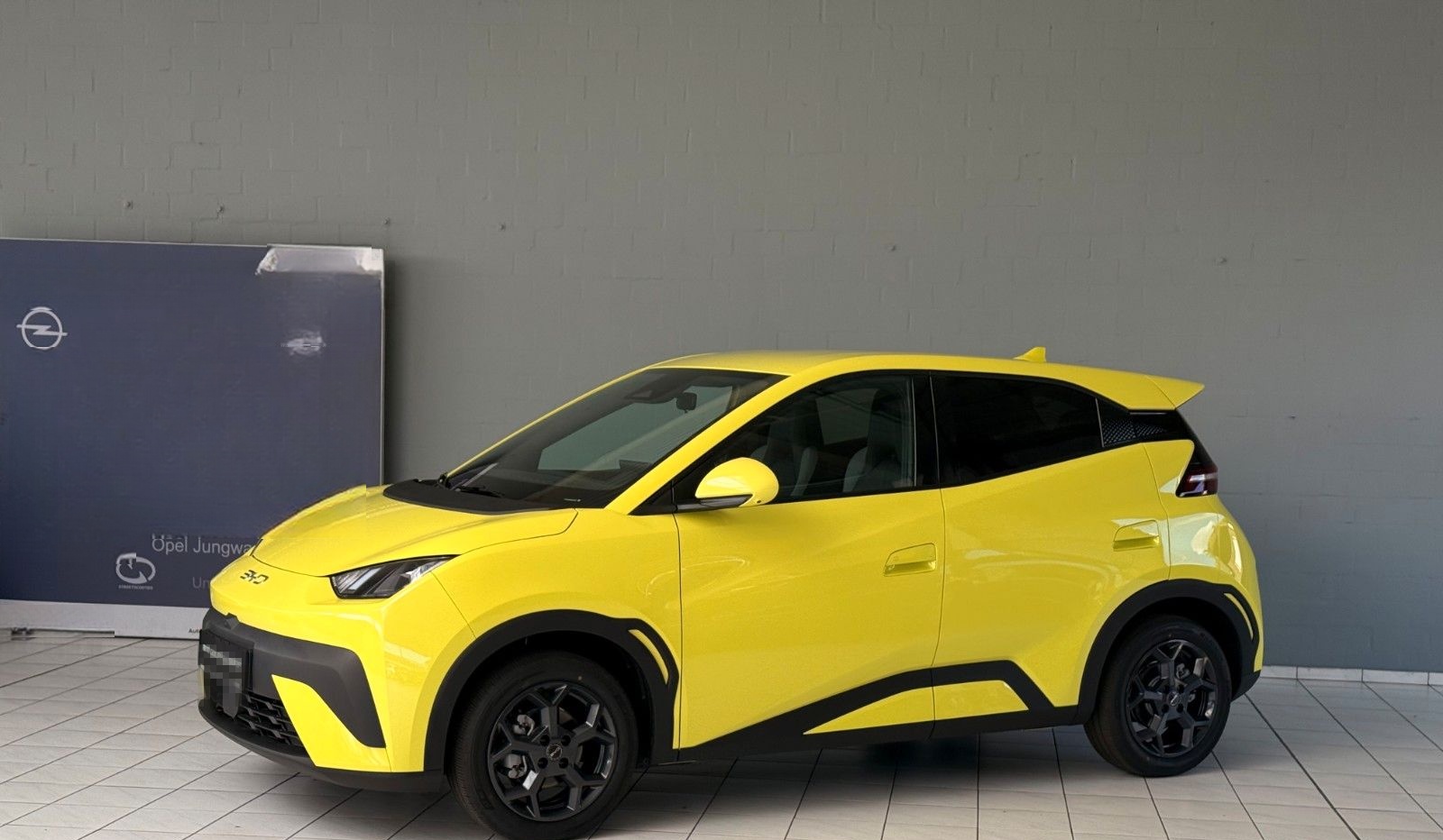 BYD DOLPHIN SURF Comfort foto 2