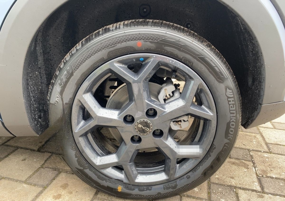 BYD DOLPHIN SURF Boost foto 7