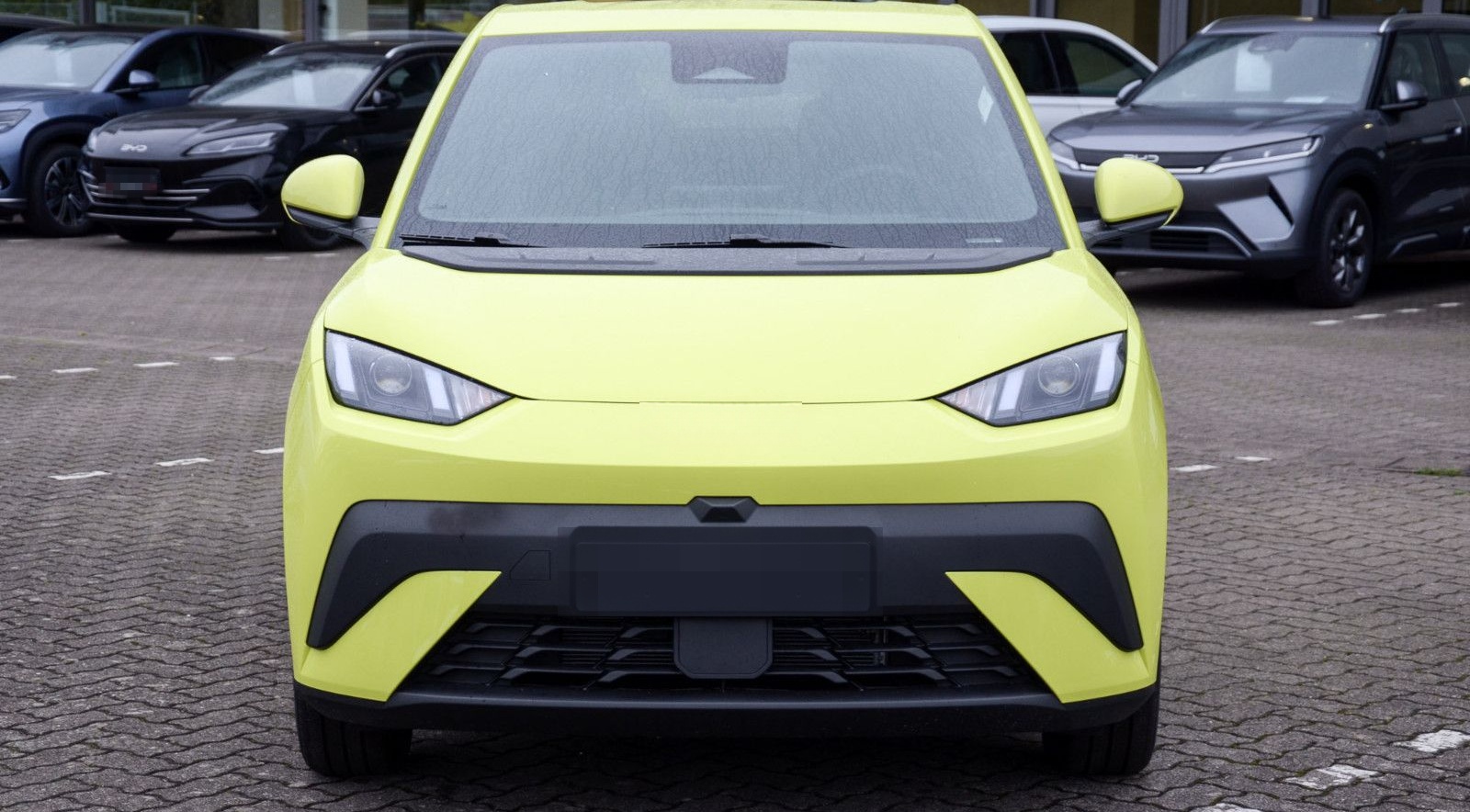 BYD Dolphin Surf Boost foto 2