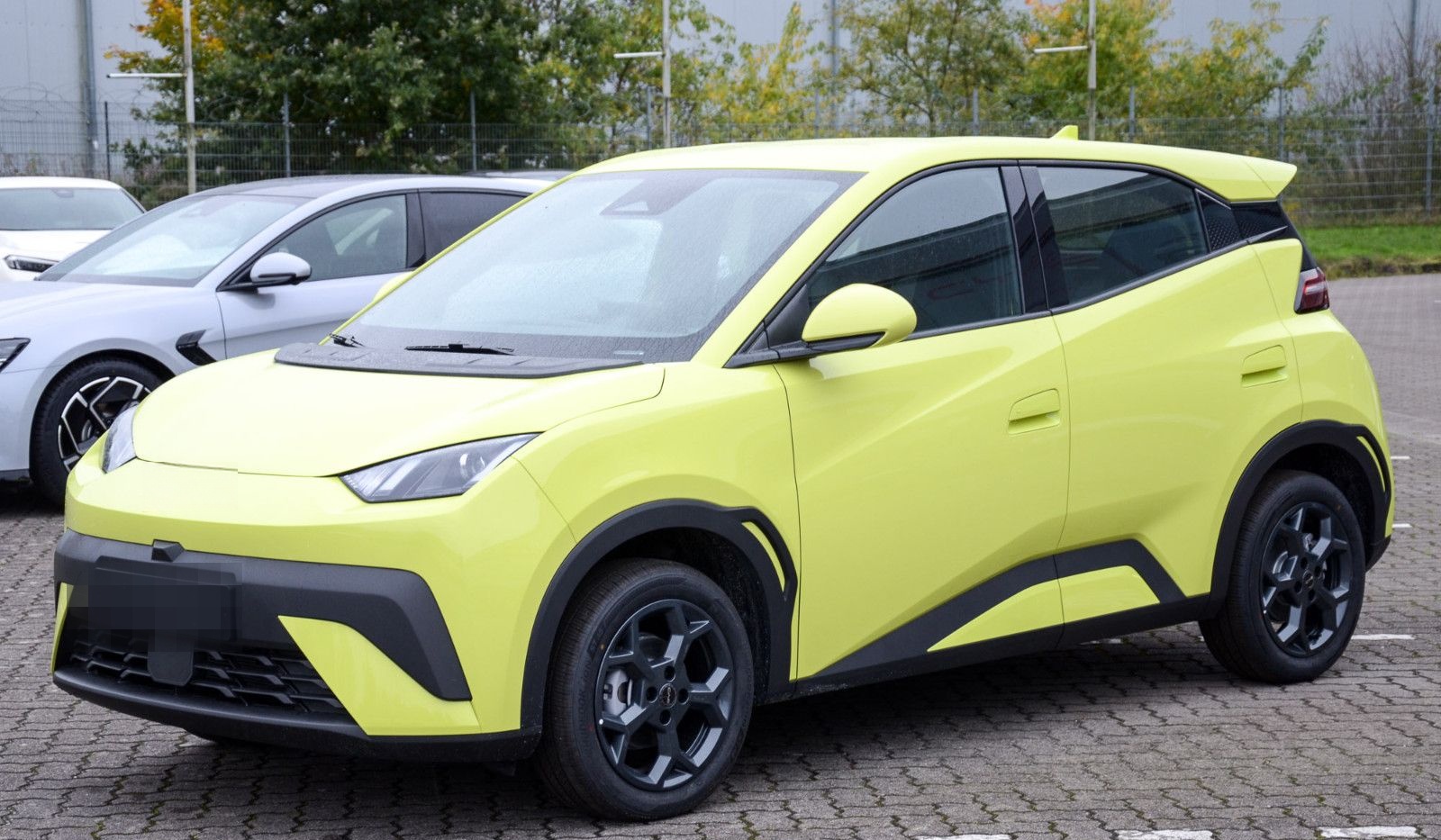 BYD Dolphin Surf Boost foto 3