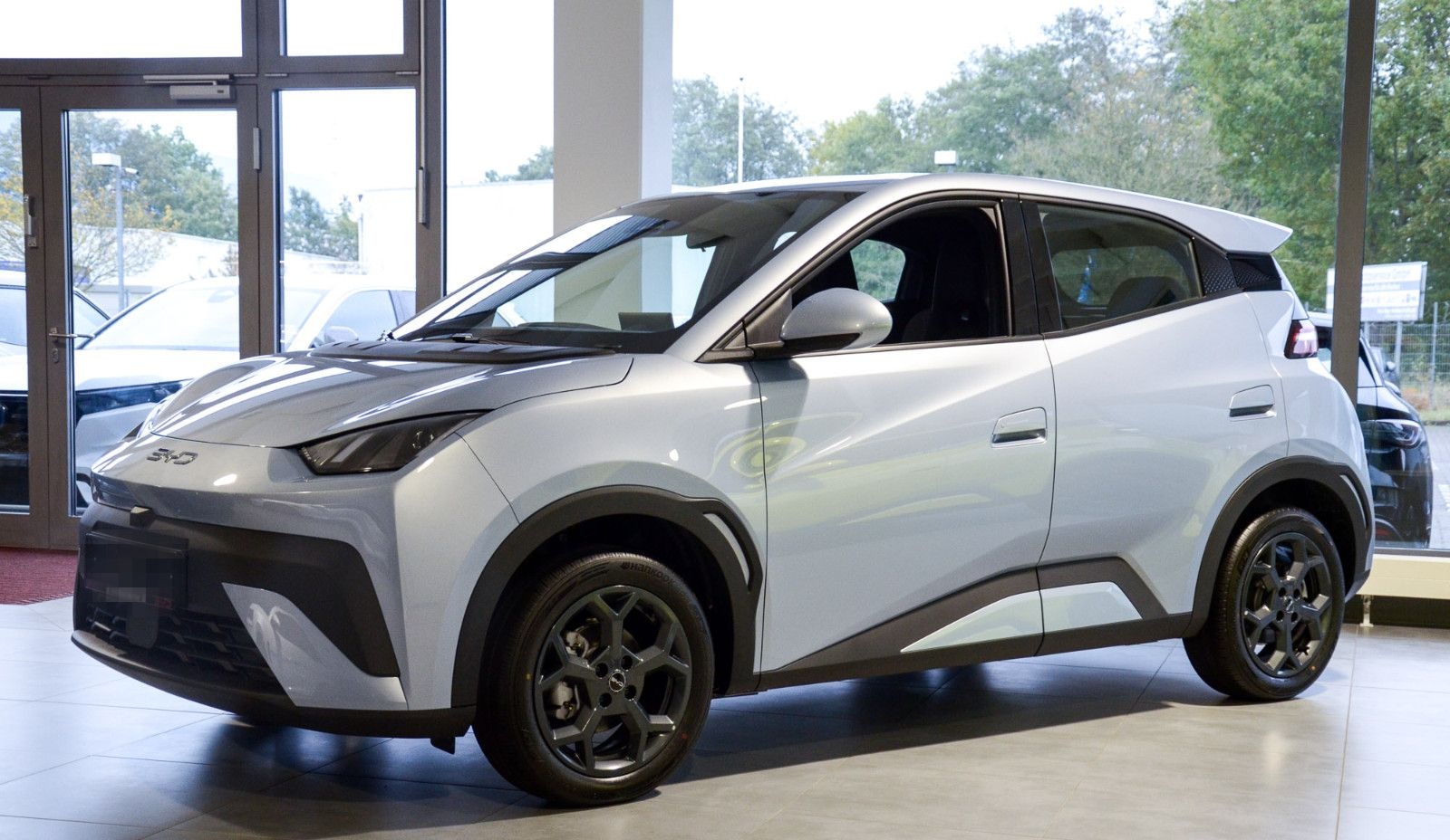 BYD Dolphin Surf Boost foto 2