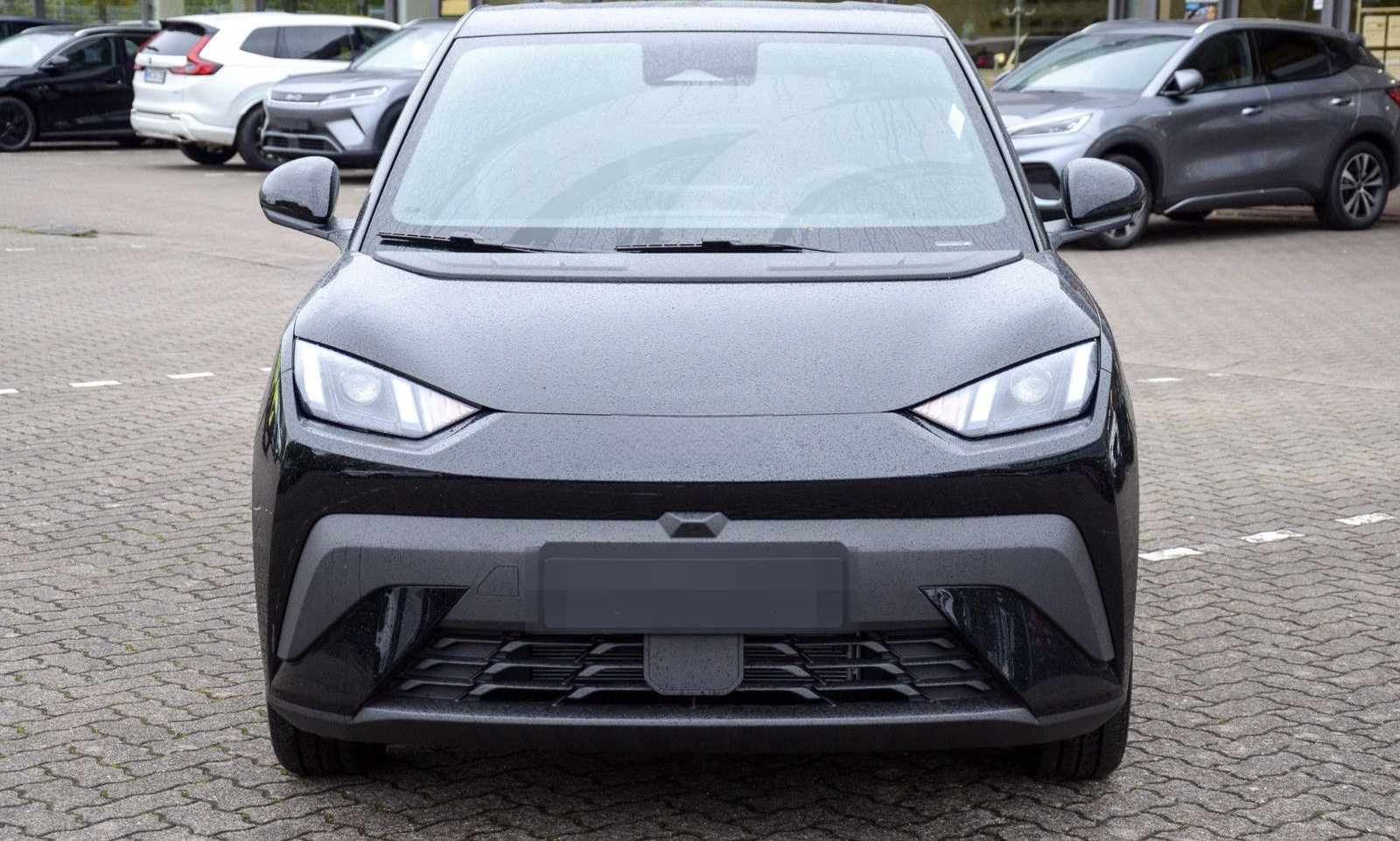 BYD Dolphin Surf Boost foto 2