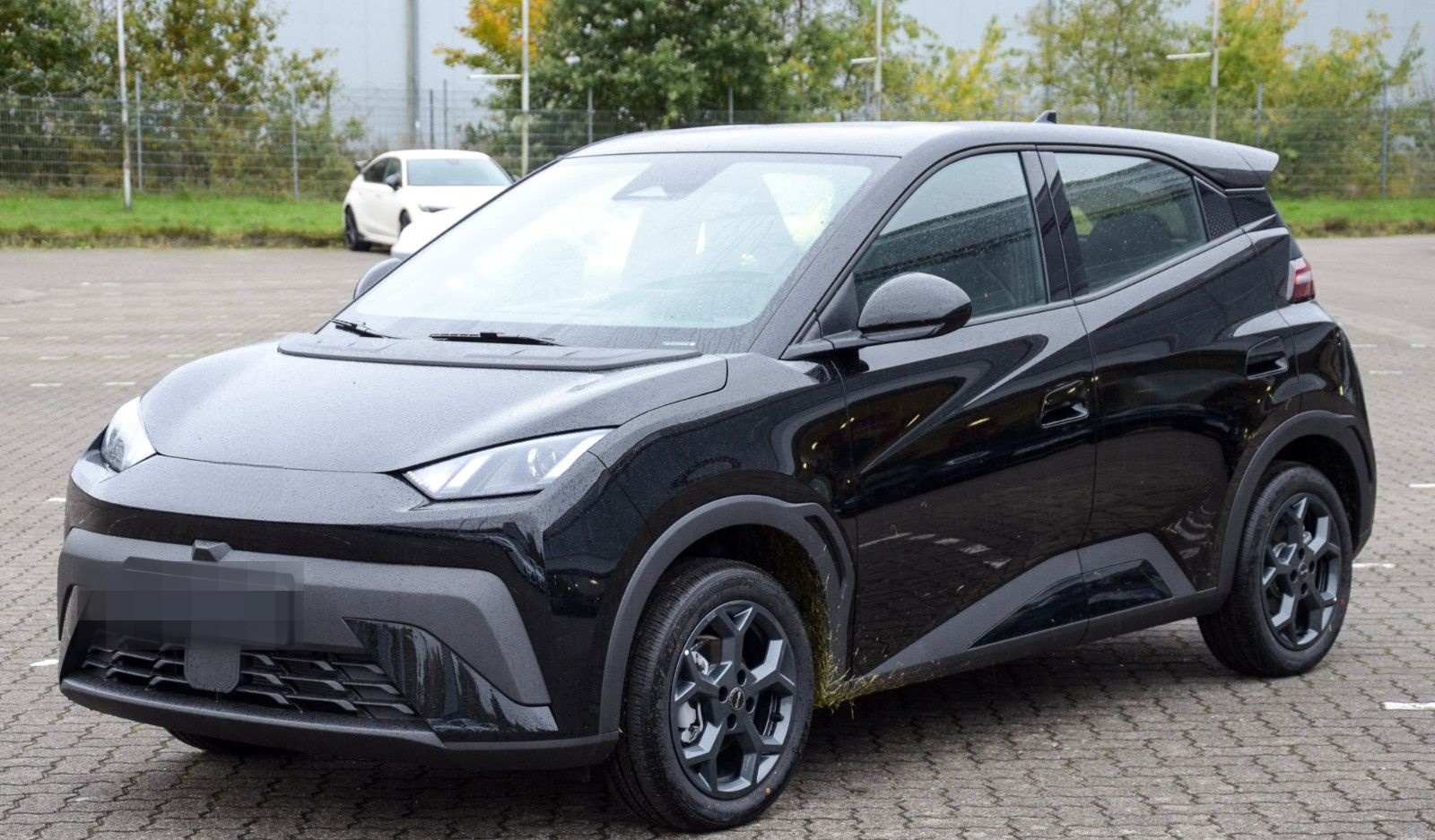 BYD Dolphin Surf Boost foto 3