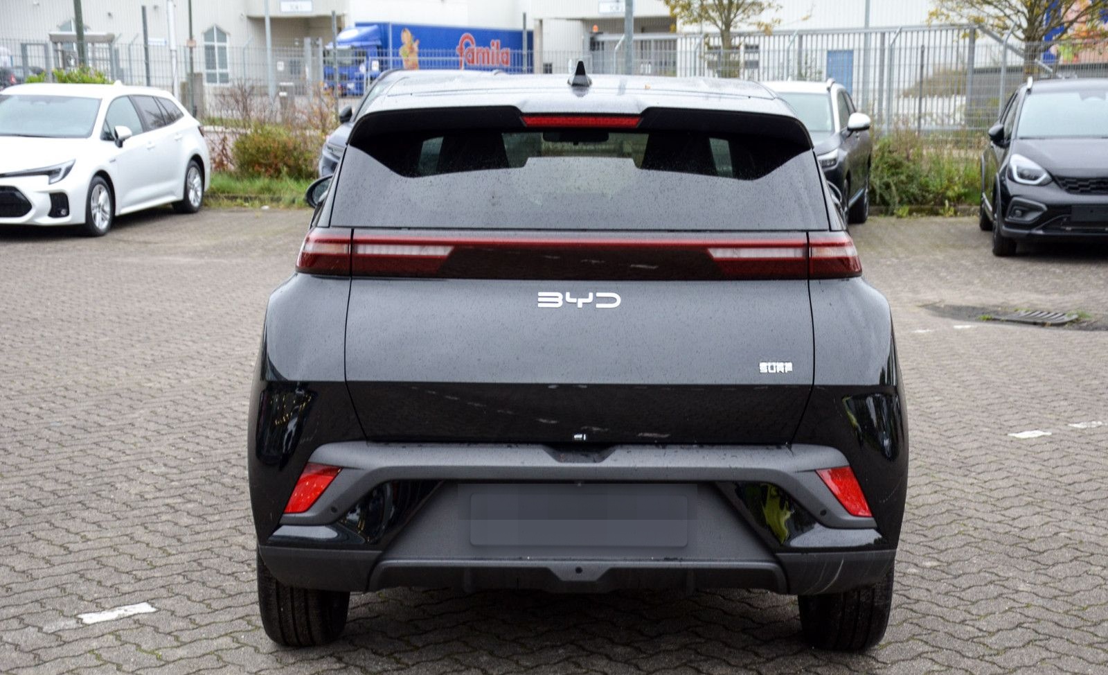 BYD Dolphin Surf Boost foto 5