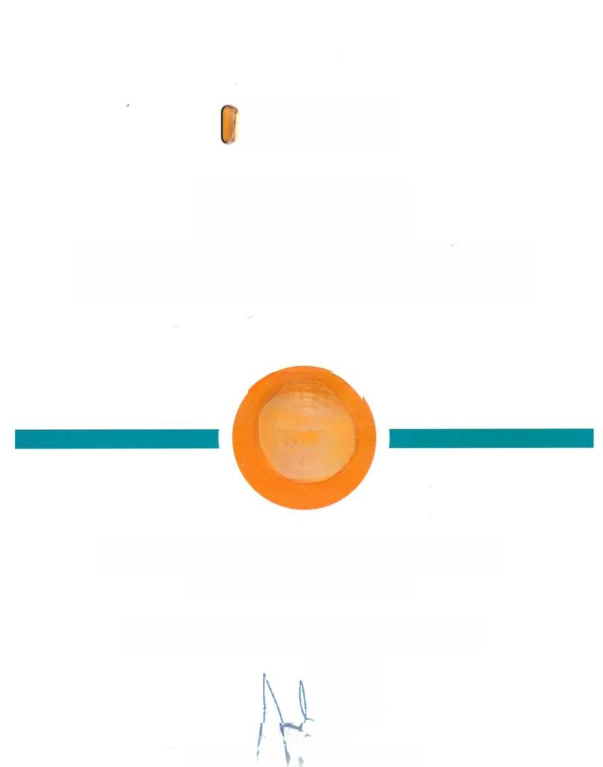 BMW 4 Gran Coupe 430 i xDrive foto 24