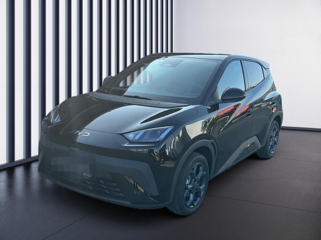 BYD Dolphin Surf Comfort Navi PDC foto 2