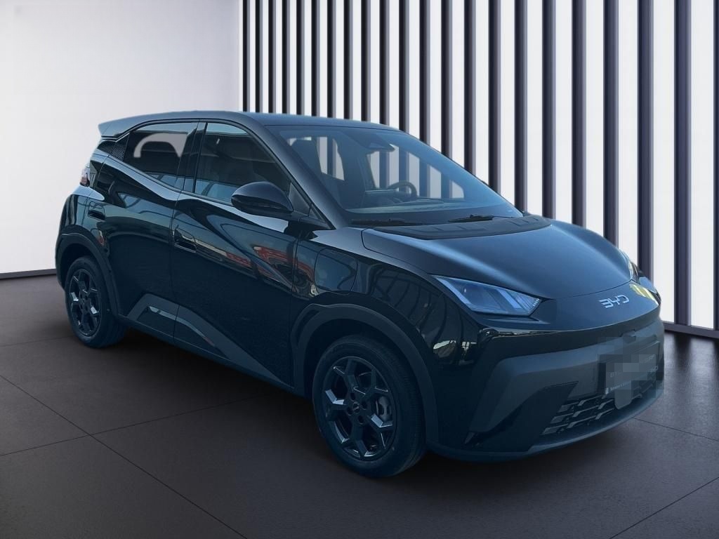 BYD Dolphin Surf Comfort Navi PDC foto 15