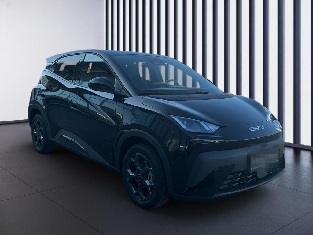 BYD Dolphin Surf Comfort Navi PDC foto 16