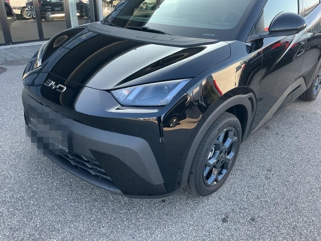 BYD Dolphin Surf Comfort Navi PDC foto 3