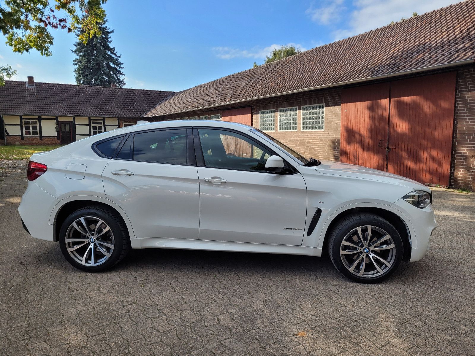 BMW X6 Baureihe X6 xDrive 30 d foto 2