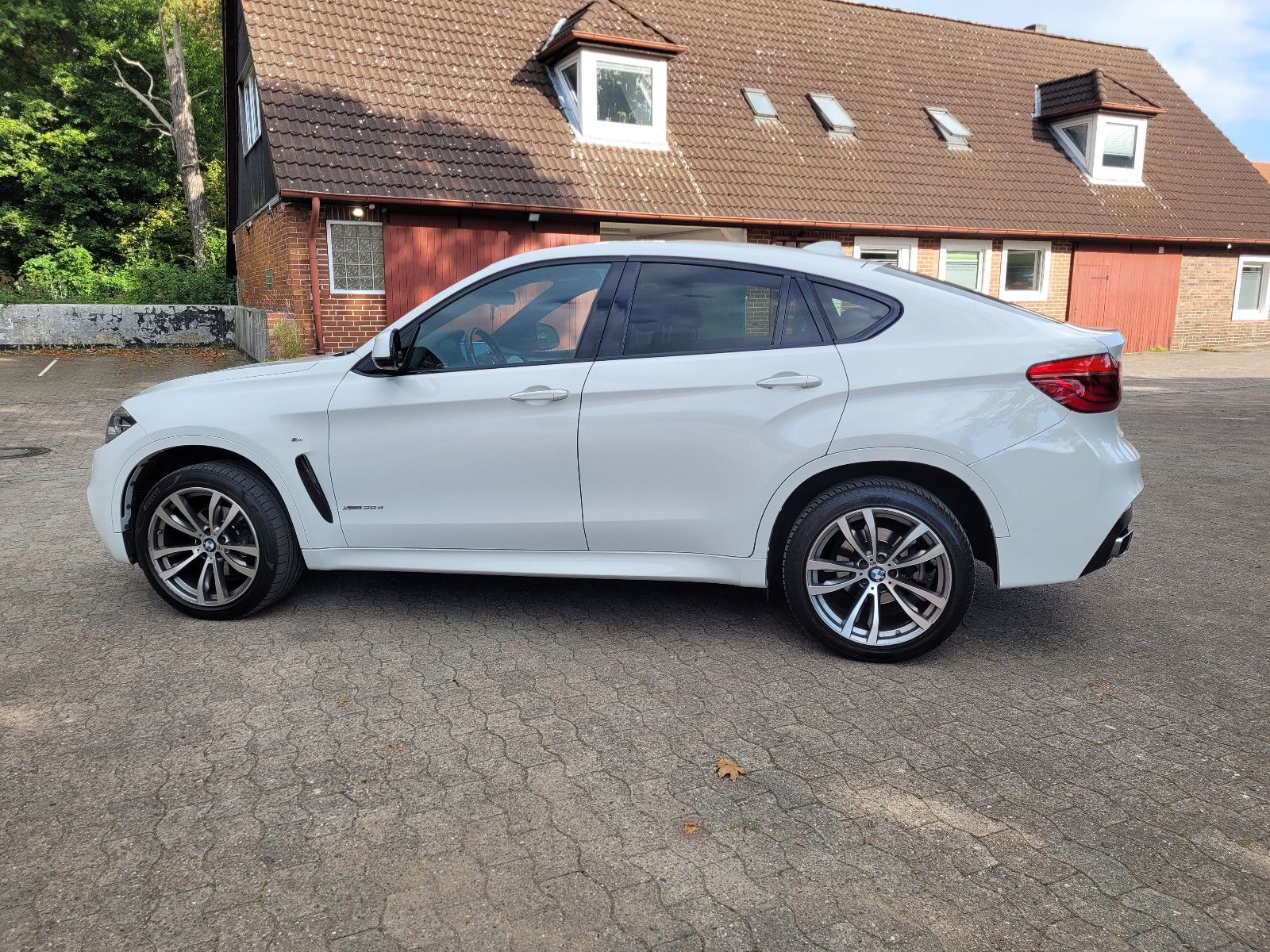 BMW X6 Baureihe X6 xDrive 30 d foto 7