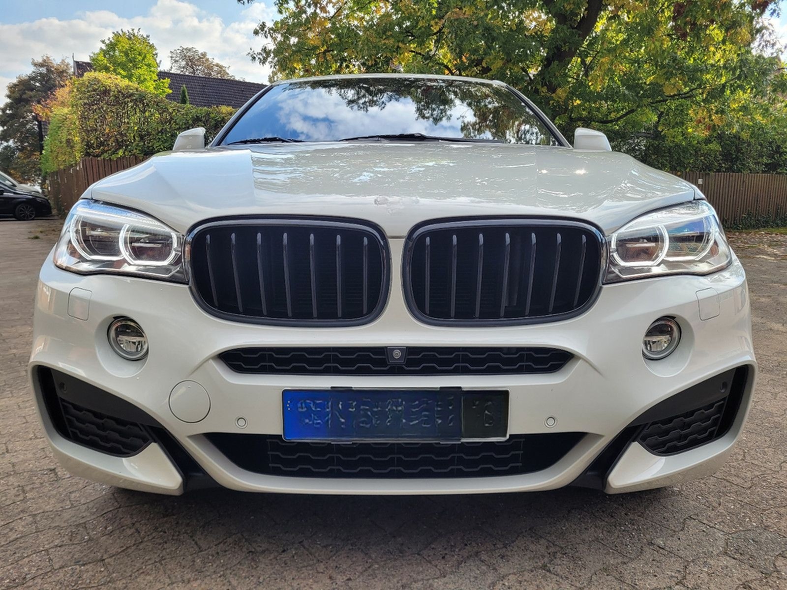 BMW X6 Baureihe X6 xDrive 30 d foto 10