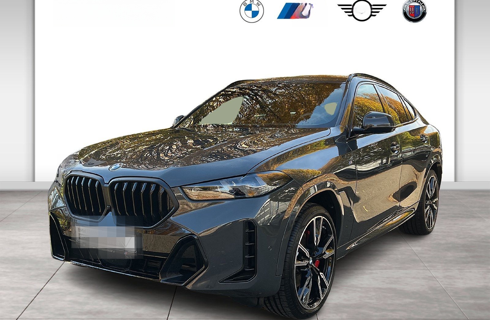 BMW X6 xDrive40d M Sport Gestiksteuerung HK HiFi