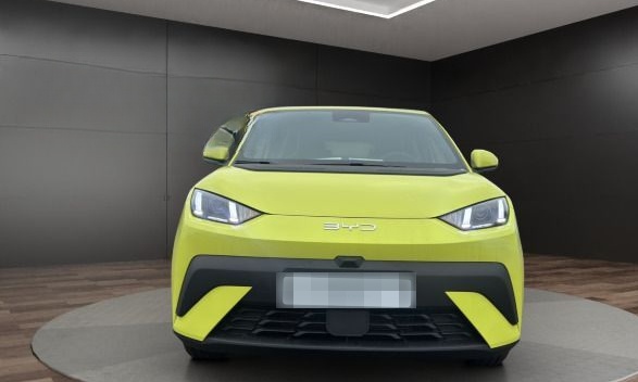 BYD Dolphin Surf Boost TAGESZULASSUNG foto 2