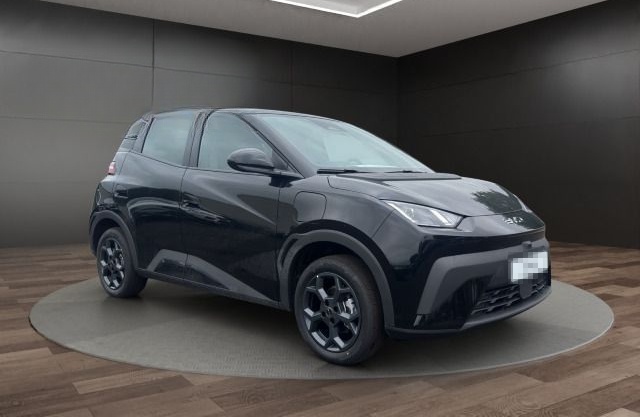 BYD Dolphin Surf Boost*Navi*PDC*DAB*APP*Alu foto 8