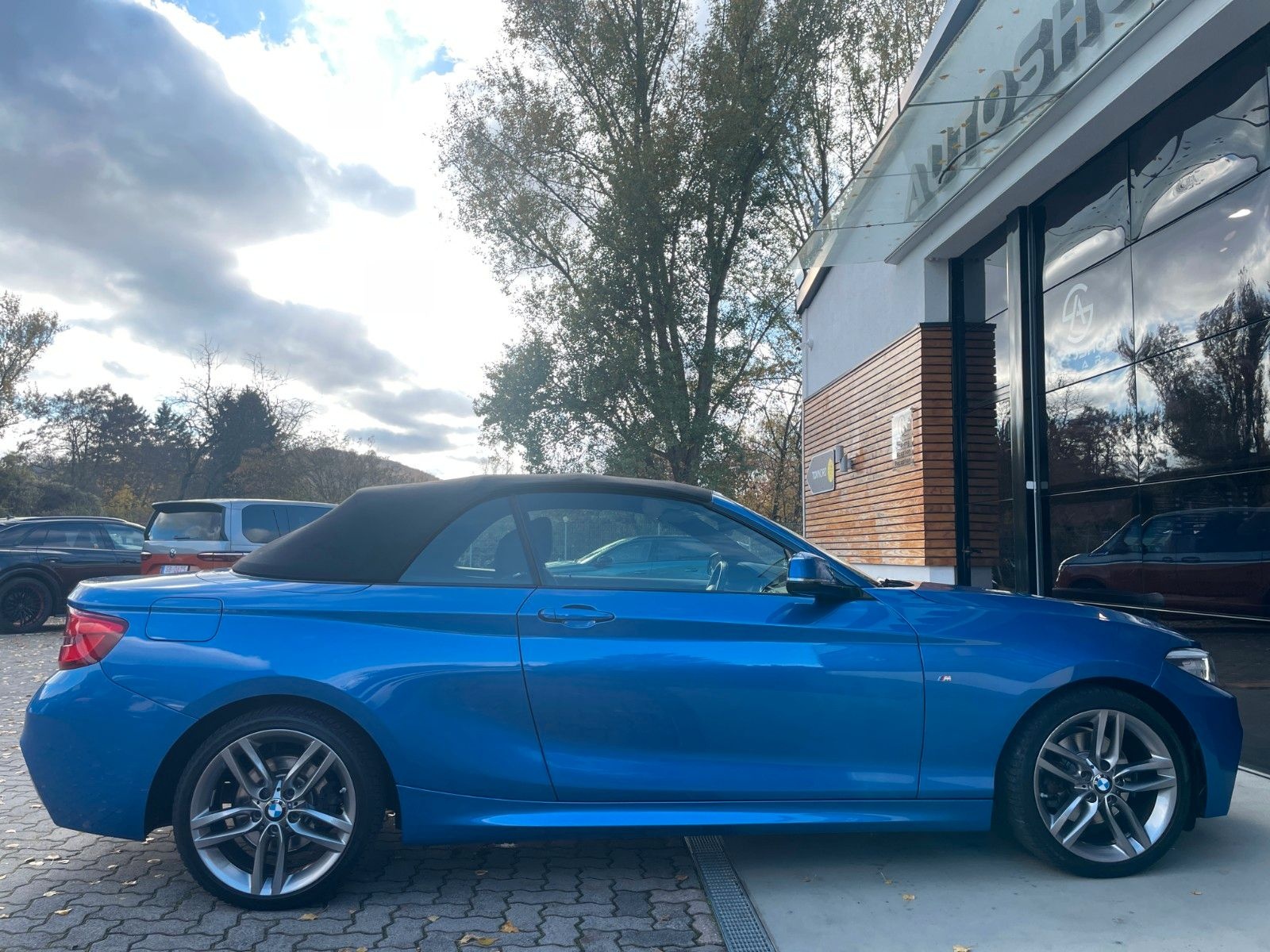 BMW Cabrio 220 d M Sport PDC/NAVI/LED foto 14