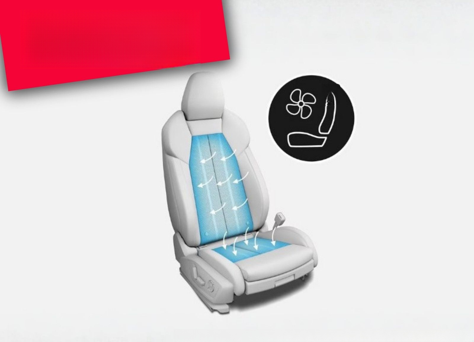 Audi S8 STANDHZ LUFT MATRIX RAUTE LEDER MASSAGE HUD foto 10