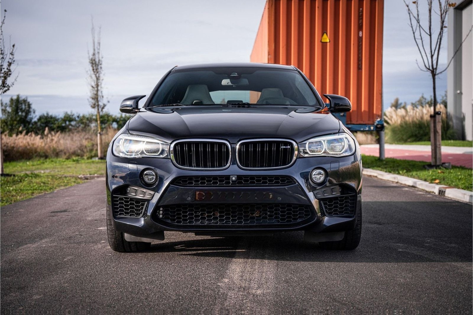 BMW X6 M - Panorama | H&K | Memory | Cruise Control foto 2