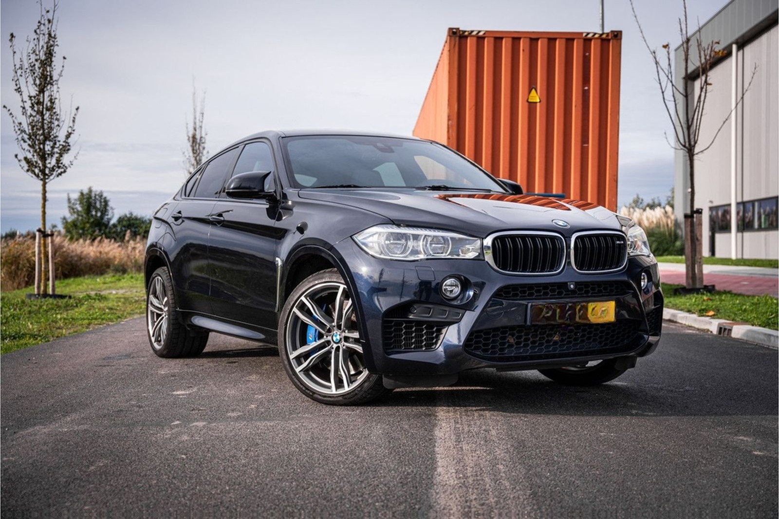 BMW X6 M - Panorama | H&K | Memory | Cruise Control foto 3
