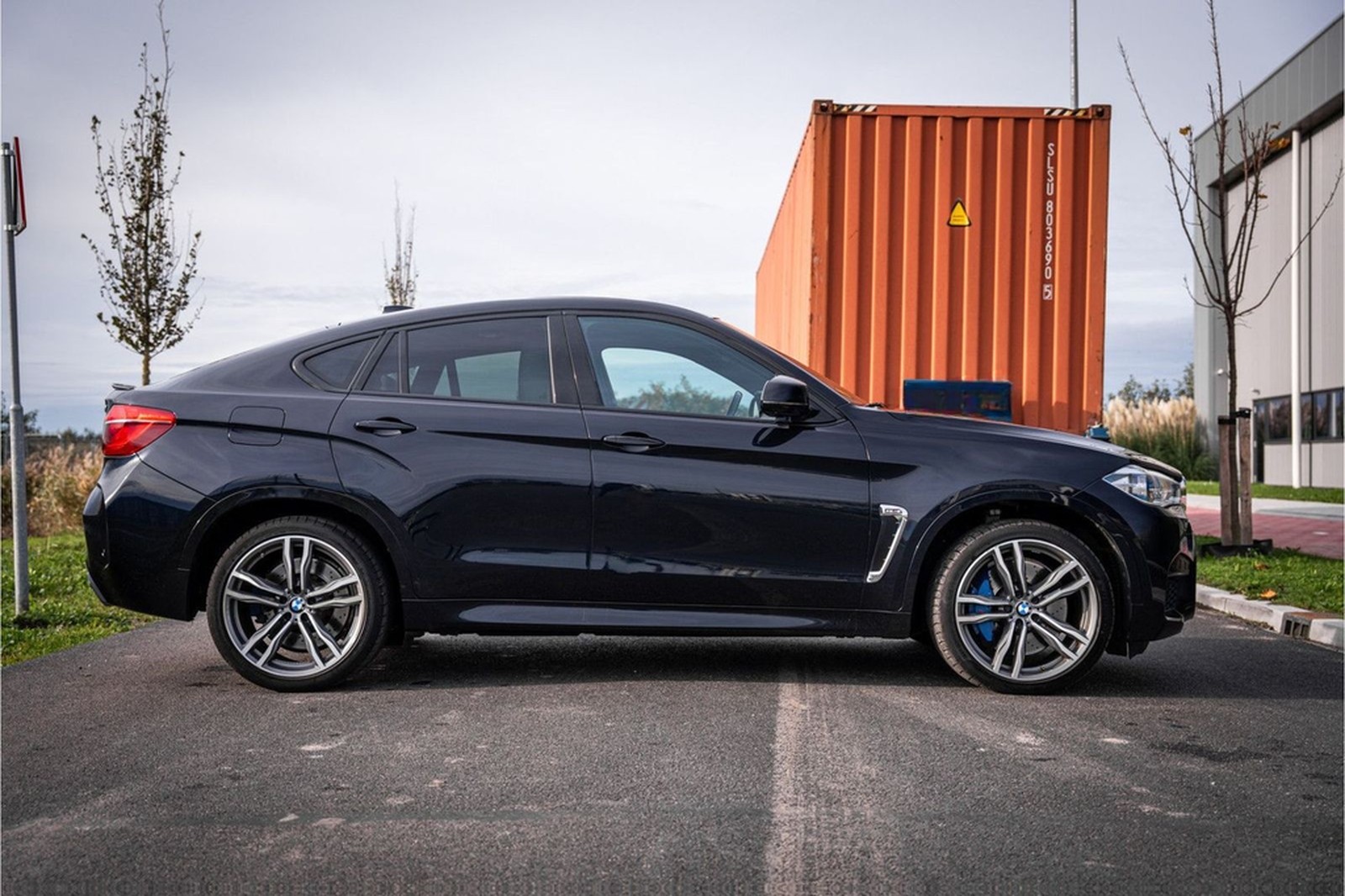 BMW X6 M - Panorama | H&K | Memory | Cruise Control foto 4