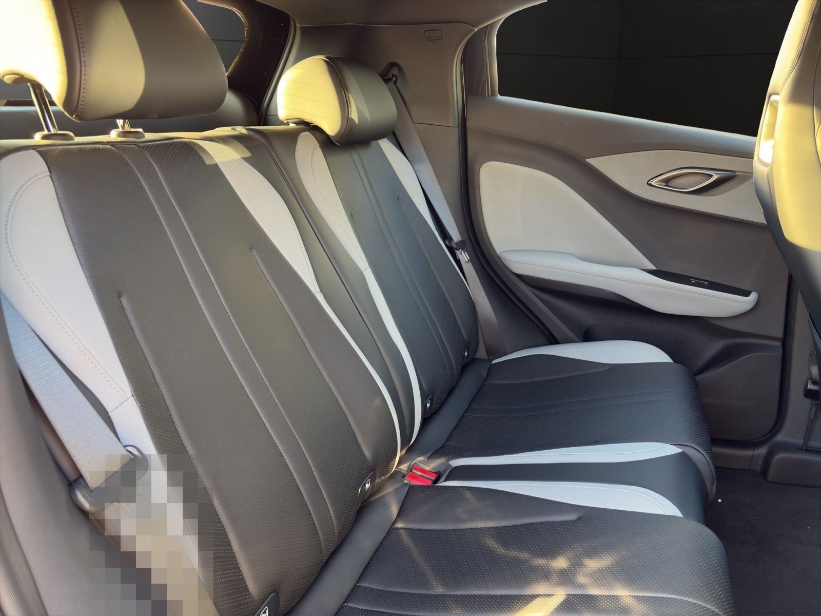 BYD Dolphin Surf Active foto 18